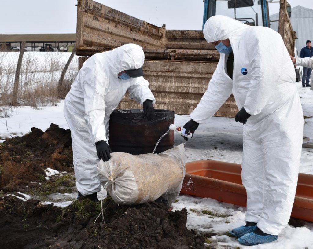 Вывоз труп животного в морг в рабочем поселке Нахабино городского округа Красногорск Московской области